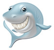 Cartoon Shark