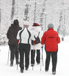 Photo: Group of senior women in the park Group of senior women in the park