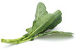 Fresh Collard Greens