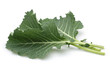 Fresh Collard Greens