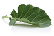 Fresh Collard Green