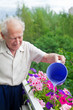 Watering The Flowers