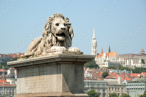 Photo: Guardian lion statue with Buda view in Budapest Guardian lion statue with Buda view in Budapest