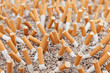 Cigarettes chaos closeup