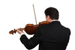 Assolo di Viola