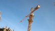 Lifting construction crane. construction site 
