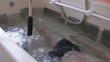 Recreational massage in a water