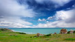 maritime bay