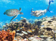 Photo: Diver and turtle Diver and turtle