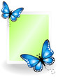 Vector: Butterfly message board Butterfly message board