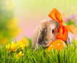 ostern