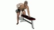 Dumbbell Row Exercise