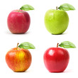 pommes