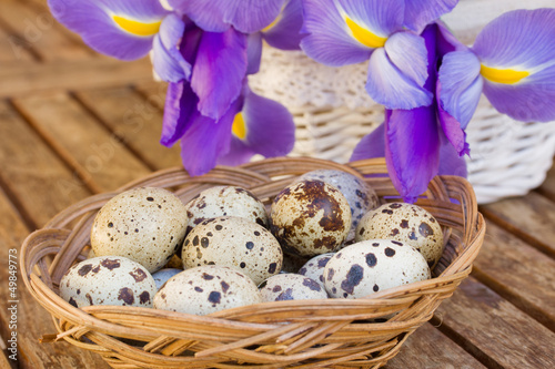 Photo: quail eggs and irises quail eggs and irises