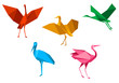 Cranes, storks and herons birds