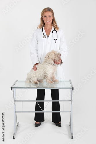 Photo: Female vet treating dog Female vet treating dog