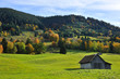 Allgäuer Idylle