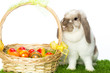Osterhase mit Ostereier Korb