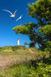 Insel Hiddensee