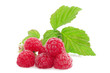 Fresh red berry with leaves on white background