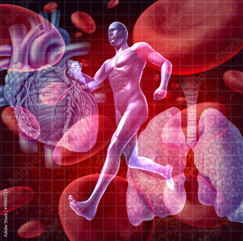 Illustration: Cardiovascular System Cardiovascular System