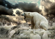 White Polar Bear Hunter on the Ice in water drops.