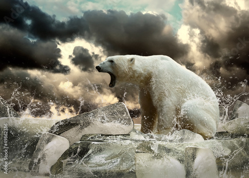 Photo: White Polar Bear Hunter on the Ice in water drops. White Polar Bear Hunter on the Ice in water drops.