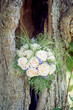 Photo: Bridal Bouquet in a Tree Bridal Bouquet in a Tree