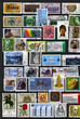 Foto: postage stamps postage stamps