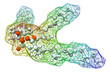 triglyceride molecule