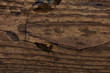 Grunge Background Wooden Cracked Texture Brown