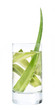 Aloe vera in einem Glas mit frischem Wasser