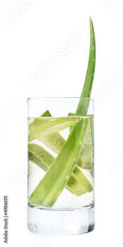 Photo: Aloe vera in einem Glas mit frischem Wasser Aloe vera in einem Glas mit frischem Wasser
