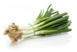 Fresh Scallion