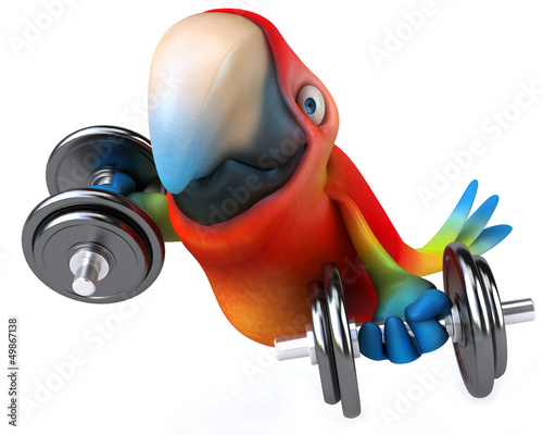 Illustration: Fun parrot Fun parrot