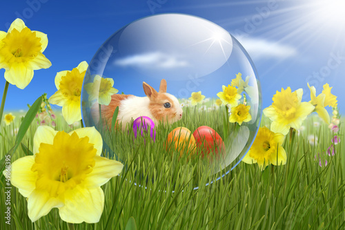 Photo: Ostern 14 Ostern 14