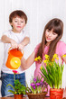 Spring flowers