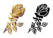 steinmetzrose2609a