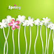 Abstract Paper Flowers