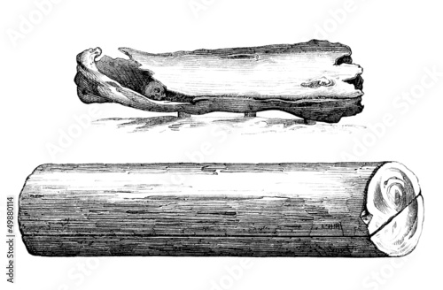 Illustration: Medieval Wood Coffins - Cercueils en Bois - 9th-10th century Medieval Wood Coffins - Cercueils en Bois - 9th-10th century