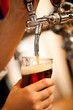 Bartender drawing a beer