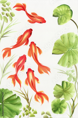 Photo: Goldfishes among the lotus leaves Goldfishes among the lotus leaves