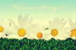 welcome spring