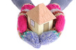 Small house