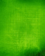 Green and fresh background