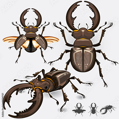Vector: Large Dark Stag Beetle Insect Bug Large Dark Stag Beetle Insect Bug