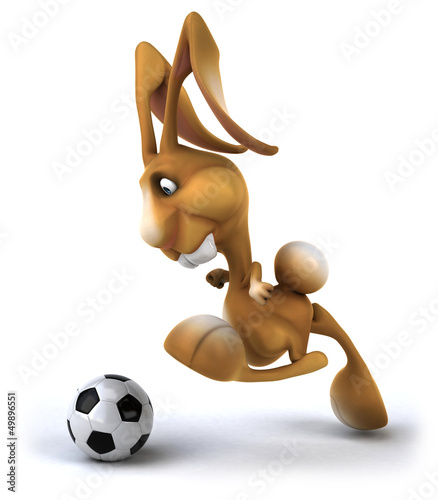 Illustration: Fun rabbit Fun rabbit