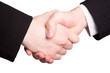 Handshake