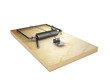 mousetrap, isolated on a white background
