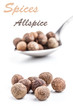Allspice